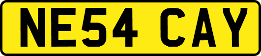 NE54CAY
