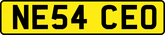 NE54CEO