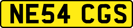 NE54CGS