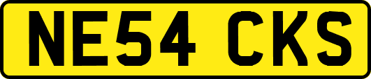 NE54CKS