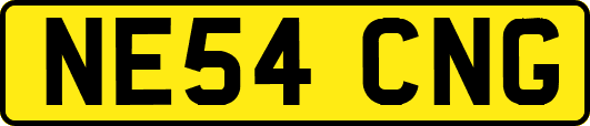 NE54CNG