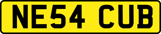 NE54CUB