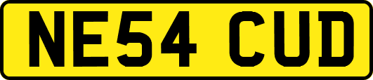 NE54CUD