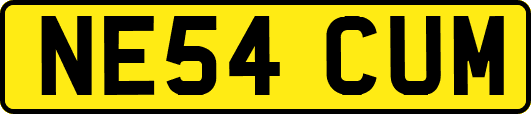 NE54CUM