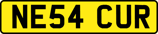 NE54CUR