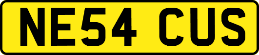 NE54CUS