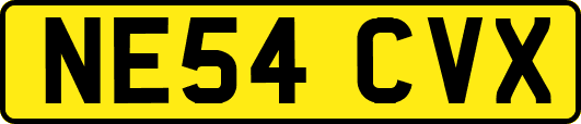 NE54CVX
