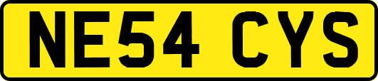 NE54CYS