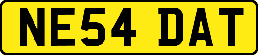 NE54DAT