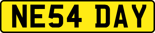 NE54DAY