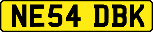 NE54DBK