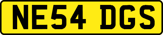 NE54DGS