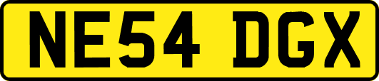 NE54DGX