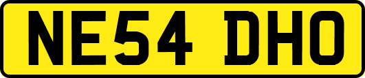 NE54DHO