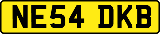NE54DKB