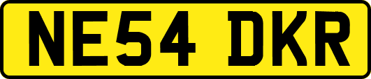 NE54DKR