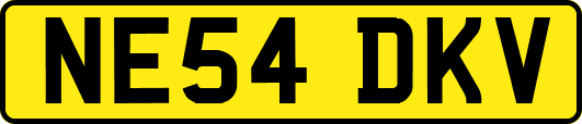 NE54DKV