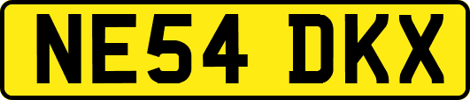 NE54DKX