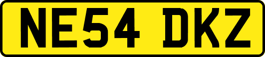 NE54DKZ