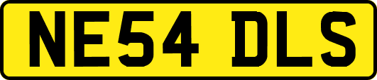 NE54DLS
