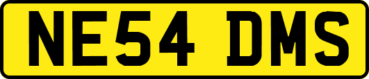 NE54DMS
