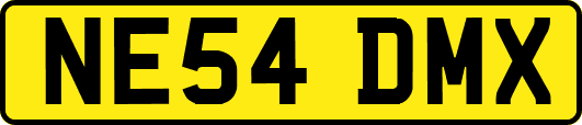 NE54DMX