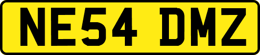 NE54DMZ
