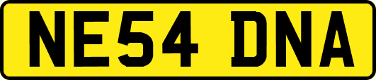 NE54DNA