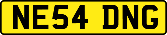 NE54DNG