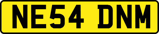 NE54DNM