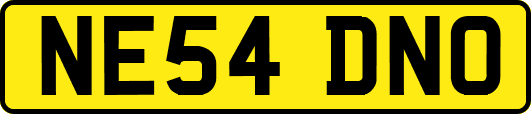 NE54DNO