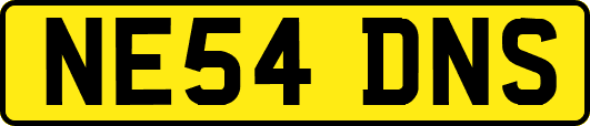 NE54DNS