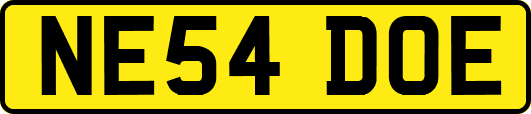 NE54DOE