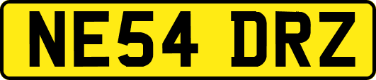 NE54DRZ