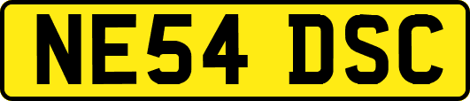 NE54DSC