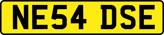 NE54DSE