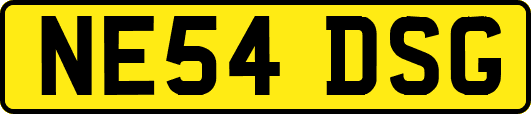 NE54DSG