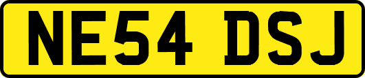 NE54DSJ