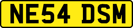NE54DSM