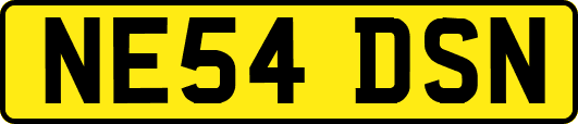 NE54DSN