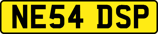 NE54DSP