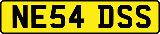 NE54DSS