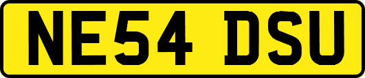NE54DSU