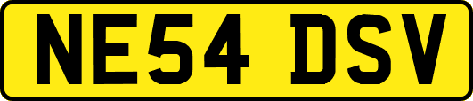 NE54DSV