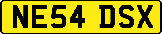 NE54DSX