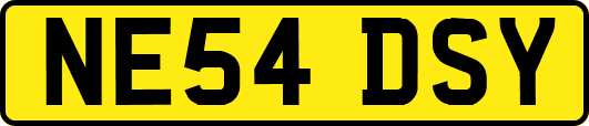 NE54DSY