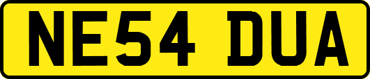 NE54DUA