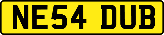 NE54DUB