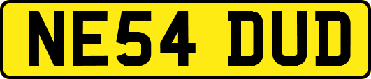 NE54DUD