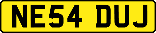 NE54DUJ